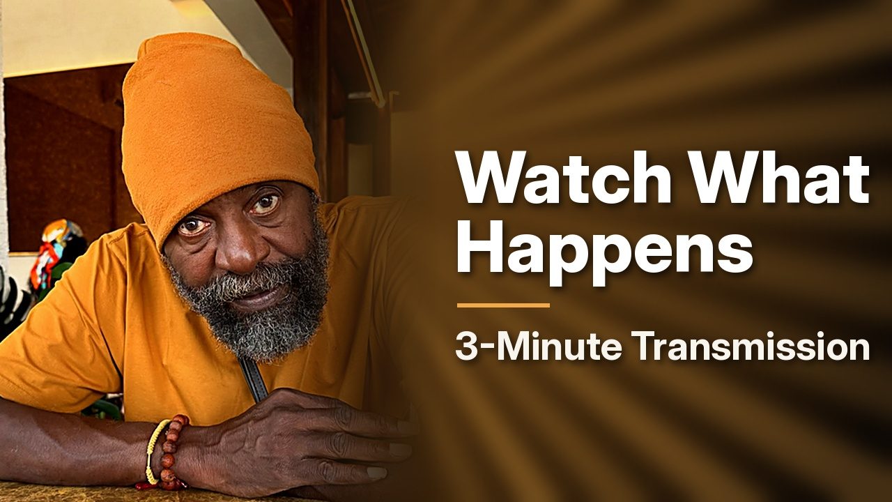 Watch What Happens — a 3-minute transmission